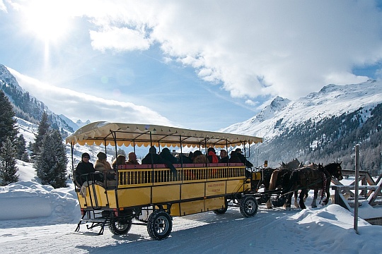 Roseg Pferde-Omnibus