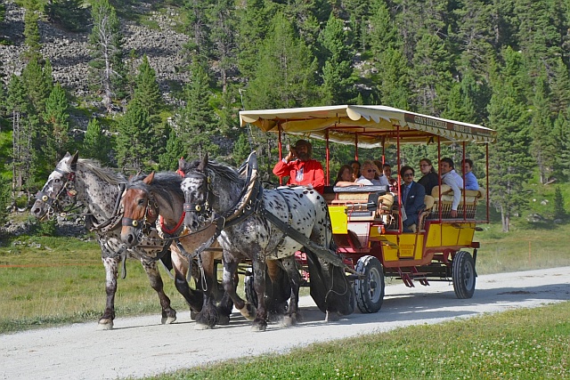 public horse-drawn omnibus on its way to the Roseg valley